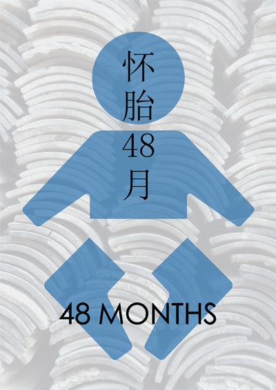 48 MONTHS poster